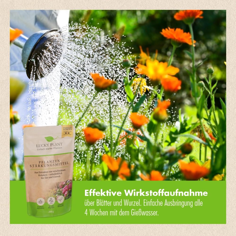 LUCKY PLANT Pflanzenstrkung 200g Pulver | Strkeres Pflanzenwachstum &  lngere Bltezeit | Zimmerpflanzen, Strucher, Rasen, Obst, Gemse |  Unbedenklich fr Tier & Natur | Dnger-Alternative : Amazon.de: Garten