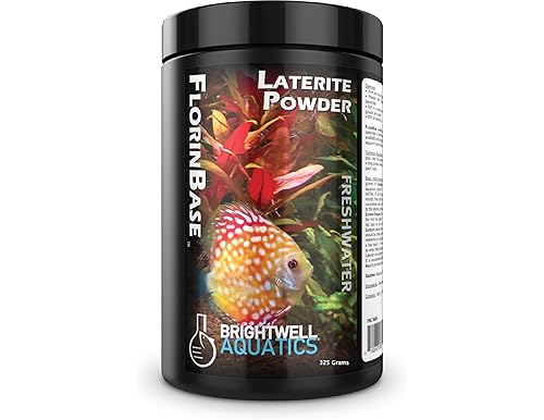 The Essential Guide to Laterite: Types, Benefits, & Applications in Aquascapes