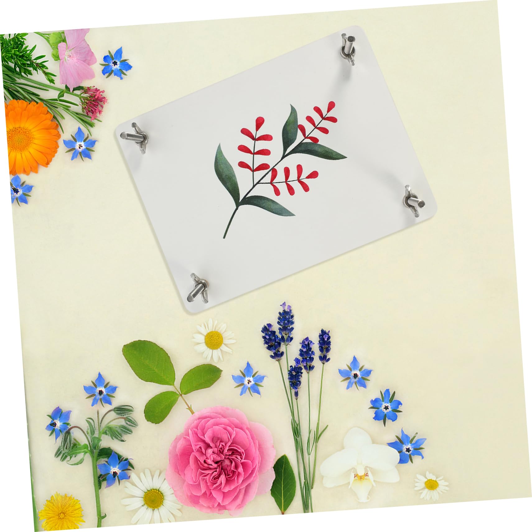 Housoutil 1 Satz Blumenpresse für Pflanzenproben und Selbstgemacht Basteln