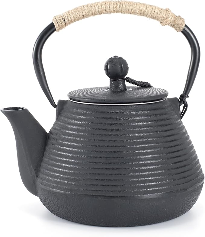 Cast Iron Teapot