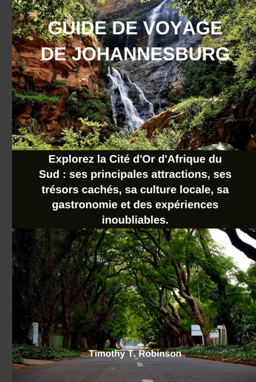 GUIDE DE VOYAGE DE JOHANNESBURG: Explorez la Cité d'Or d'Afrique du Sud : ses principales attractions, ses trésors cachés, sa culture locale, sa gastronomie et des expériences inoubliables.