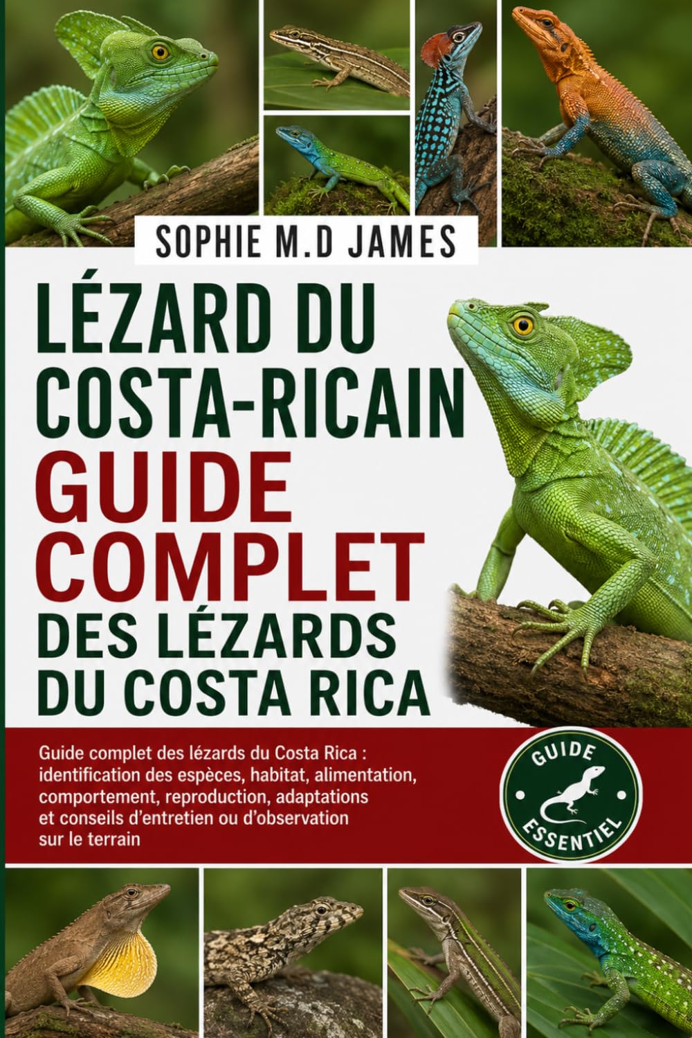 LÉZARD DU COSTA-RICAIN: Guide complet des lézards du Costa Rica : identification des espèces, habitat, alimentation, comportement, reproduction, ... d’entretien ou d’observation sur le terrain