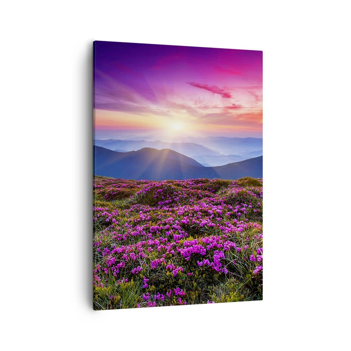 Quadro Moderno Paesaggio Montagna E Fiori Di Ciliegio – Stampa Su Tela Canvas 40x70 Cm, Fatto A Mano In Italia