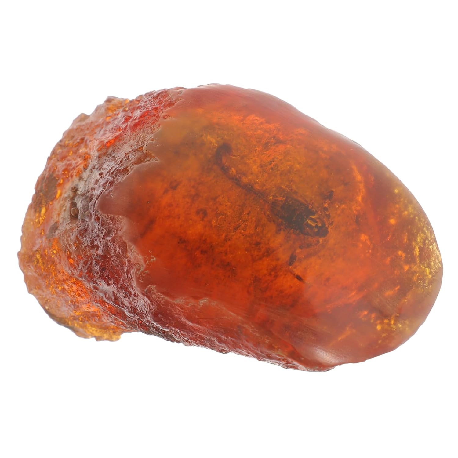 PRETYZOOM 3pcs Insect Specimen in Resin Stone Specimen Adornments Creative Decor for Room Showcase