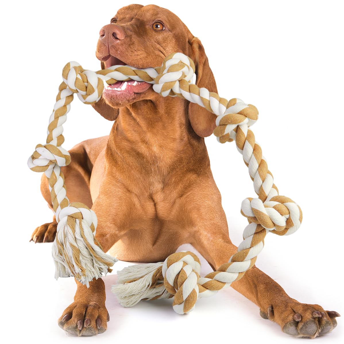 JazRvr 2er-Set Waschbär Hundespielzeuge - Kuschelweich & Kauresistent Für Kleine Und Mittelgroße Hunde