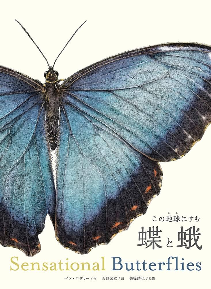 蝶　蛾　図鑑　洋書　バタフライ　Butterflies Moths 洋書◇蝶と蛾の写真集 本 図鑑 チョウ ガ 蝶々 | 洋書堂