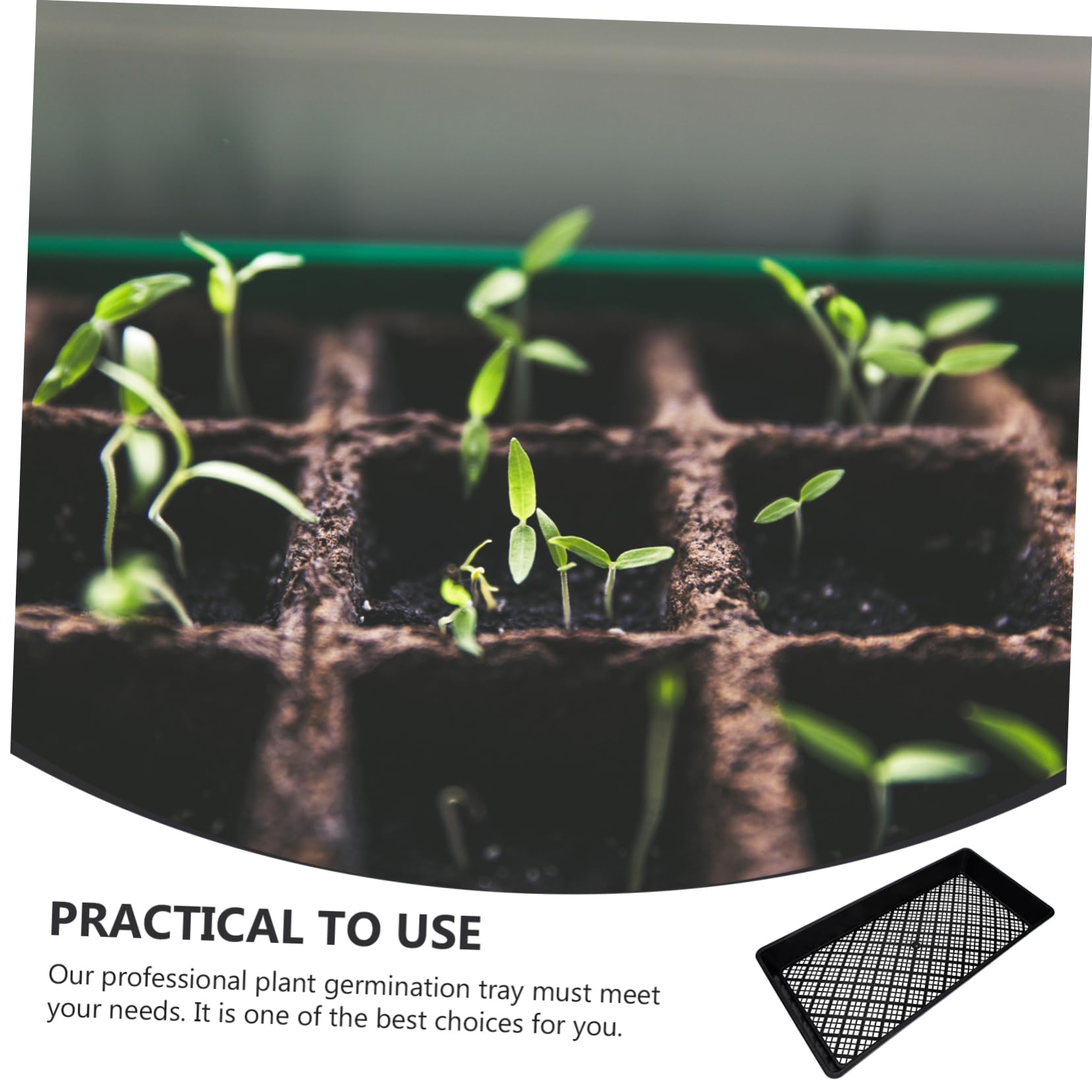 SUPVOX 6pièces Plateaux De Germination De Plantes Lot de Trays De Culture avec Fond Creux pour Et Jardinage Intérieur