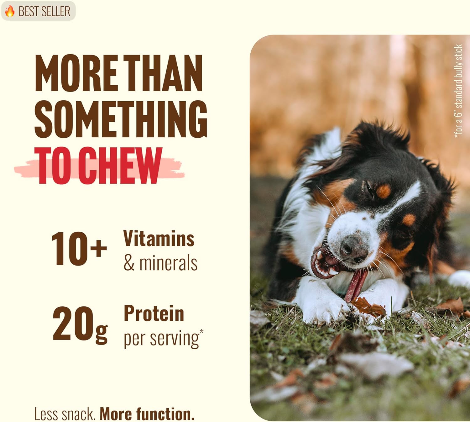 Natural Farm Odor Free Bully Sticks (2-3 Inch, 1 Pound) for Small & Medium Dogs - 100% Beef Chews for Pups, Non-GMO, Grain-Free, Fully Digestible Long Lasting Dog Treats