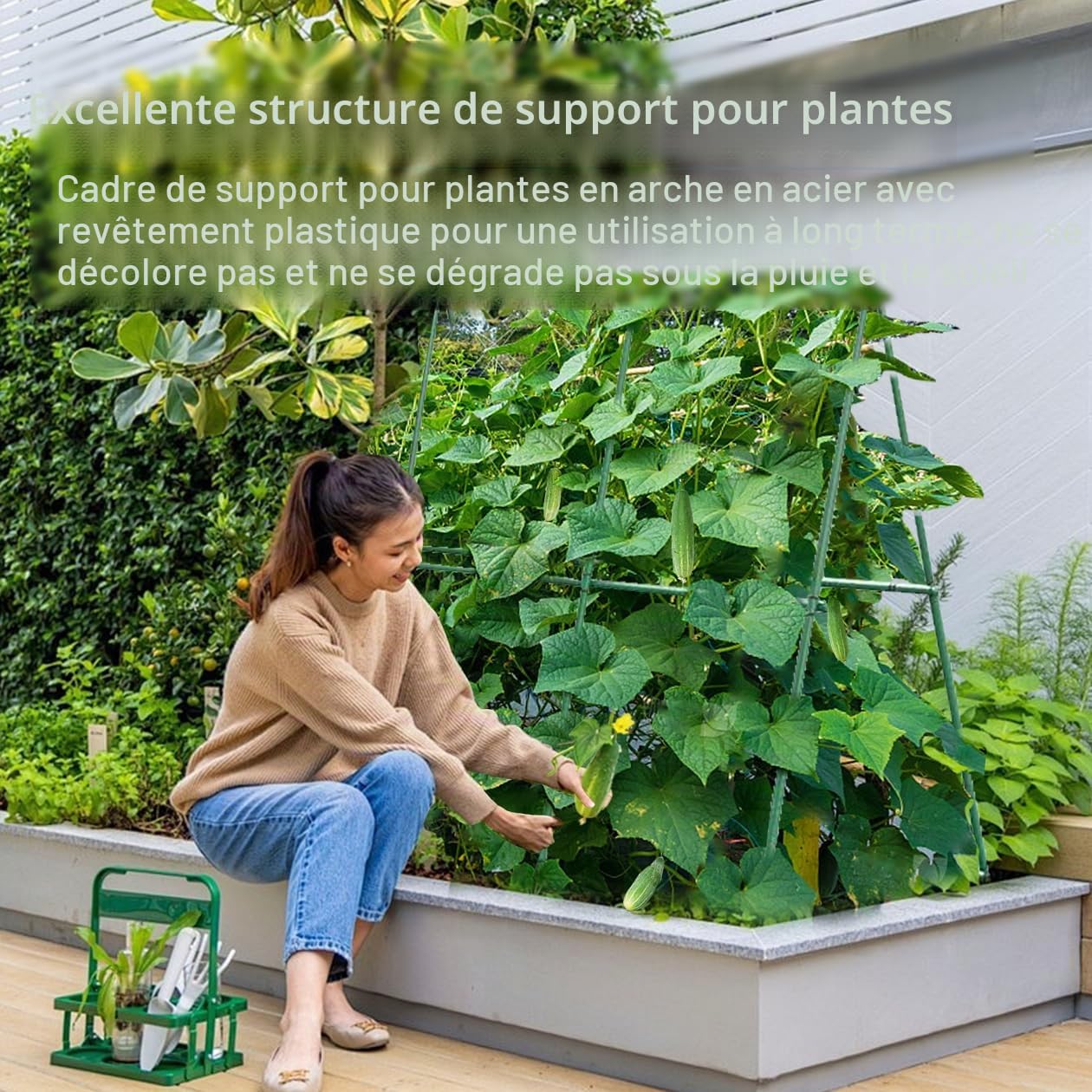 Kit de tuteur de concombre, treillis de jardin, cages et supports pour plantes grimpantes, 120 cm, support pour plantes grimpantes, tuteur de jardin, concombre, tomates