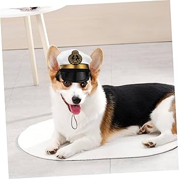 Amazon | PATKAW ヘッドピース ペット 帽子 犬 帽子 大型 犬用