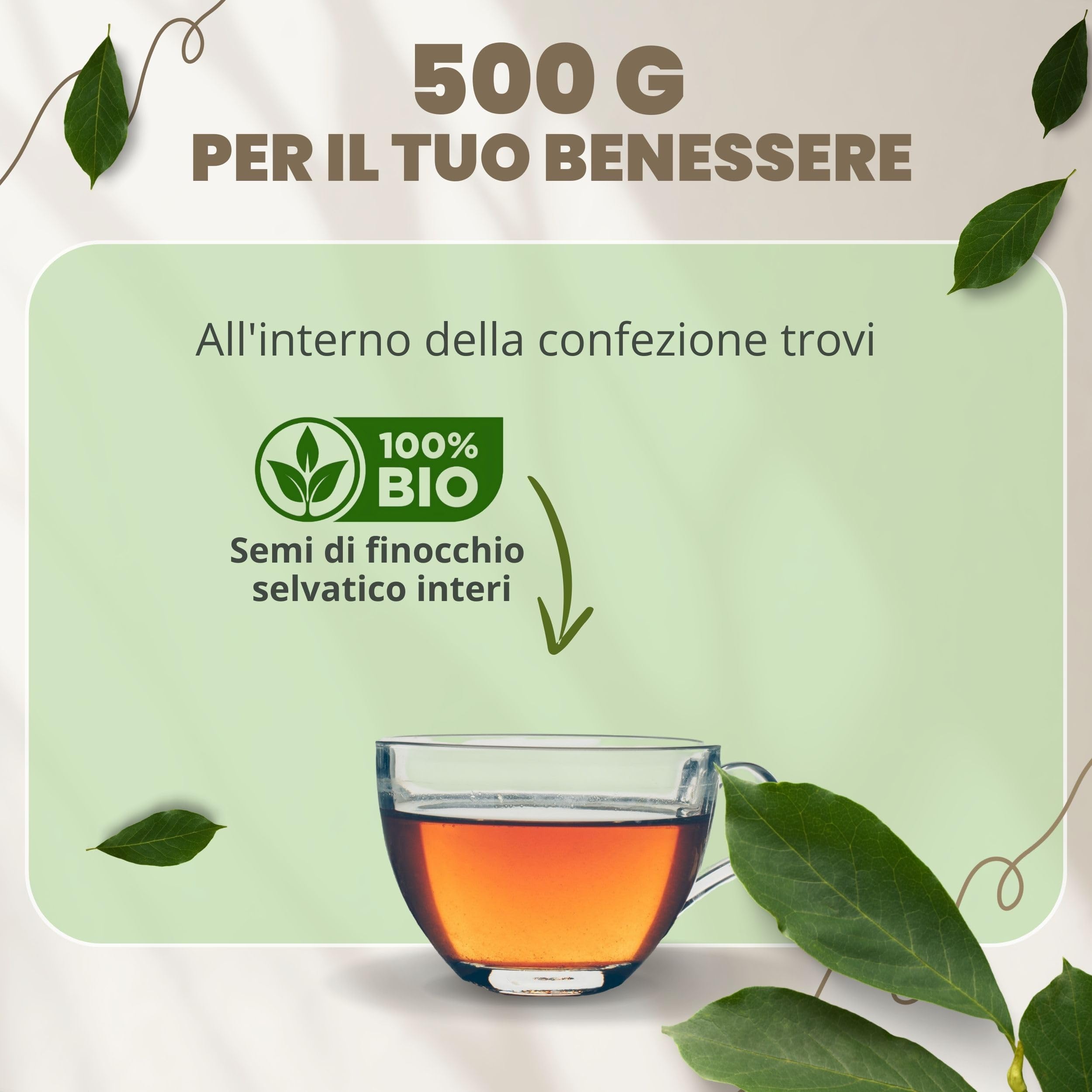 Patrizio Breseghello - Semi Finocchio Frutti Verdi Extra 500 g BIO, Benessere Intestinale e Digestione, Semi di Finocchio per Tisana e Infuso 100% Naturali