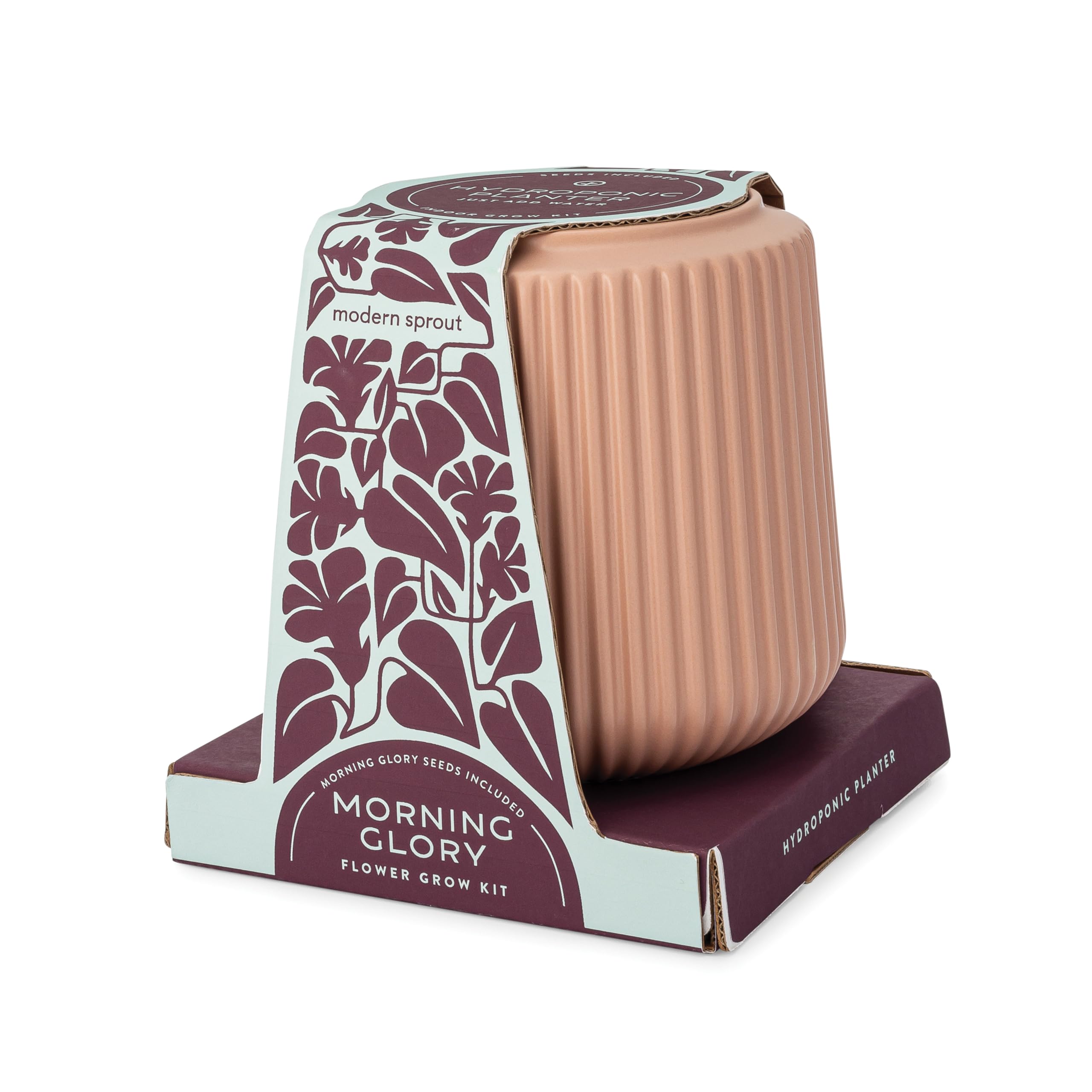 Amazon.com : Modern Sprout Flower Grow Kit - Ceramic Planter with