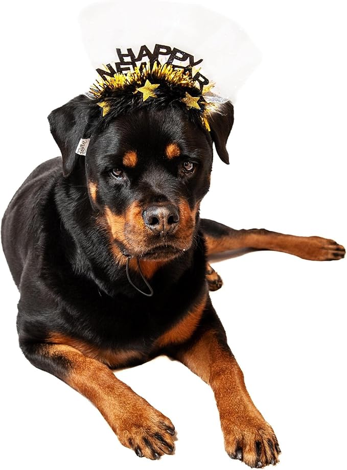 Diadema para Perro Midlee Happy New Year Talla Grande miniatura 5