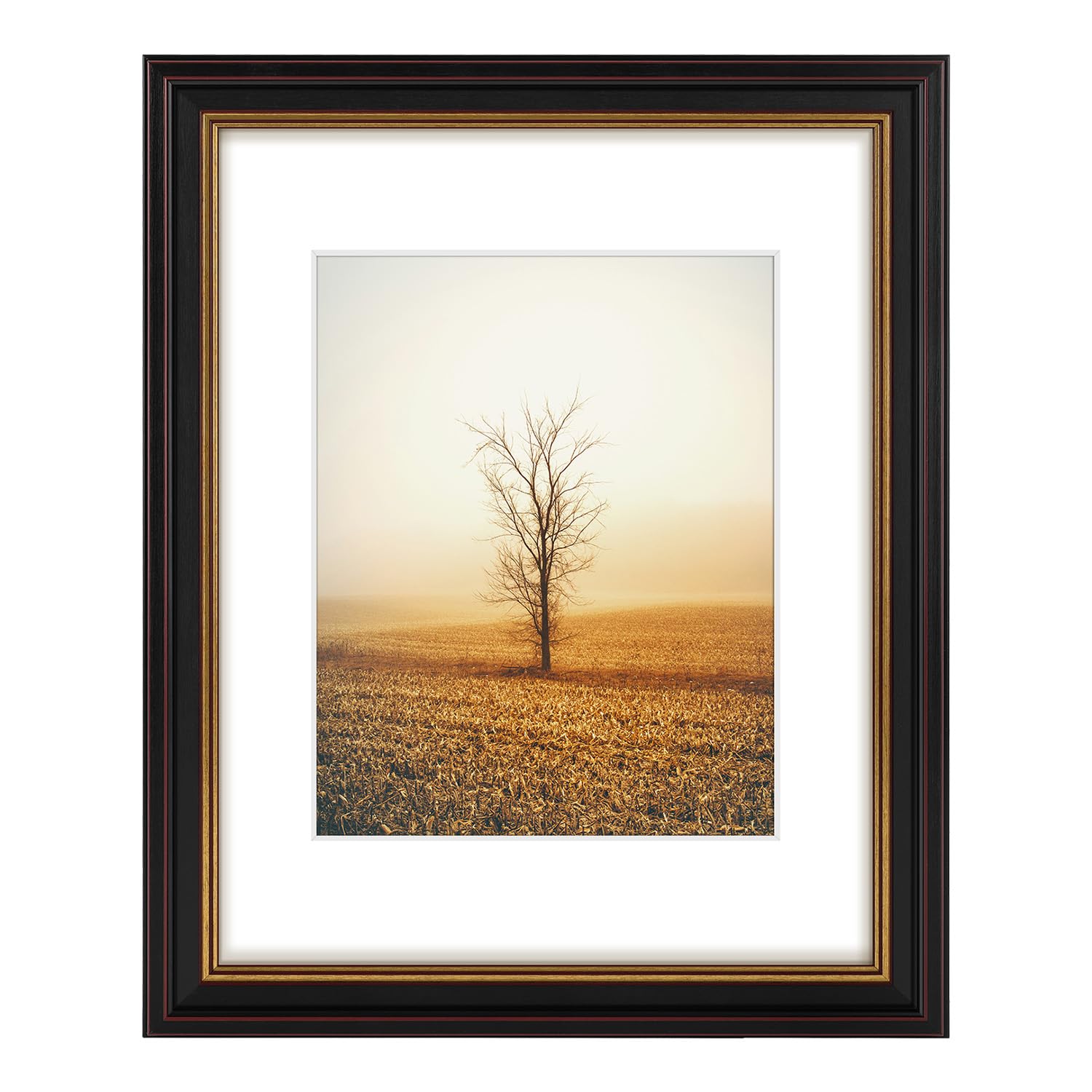 Golden State Art 11x14 Frame Mat for 8x10 Picture