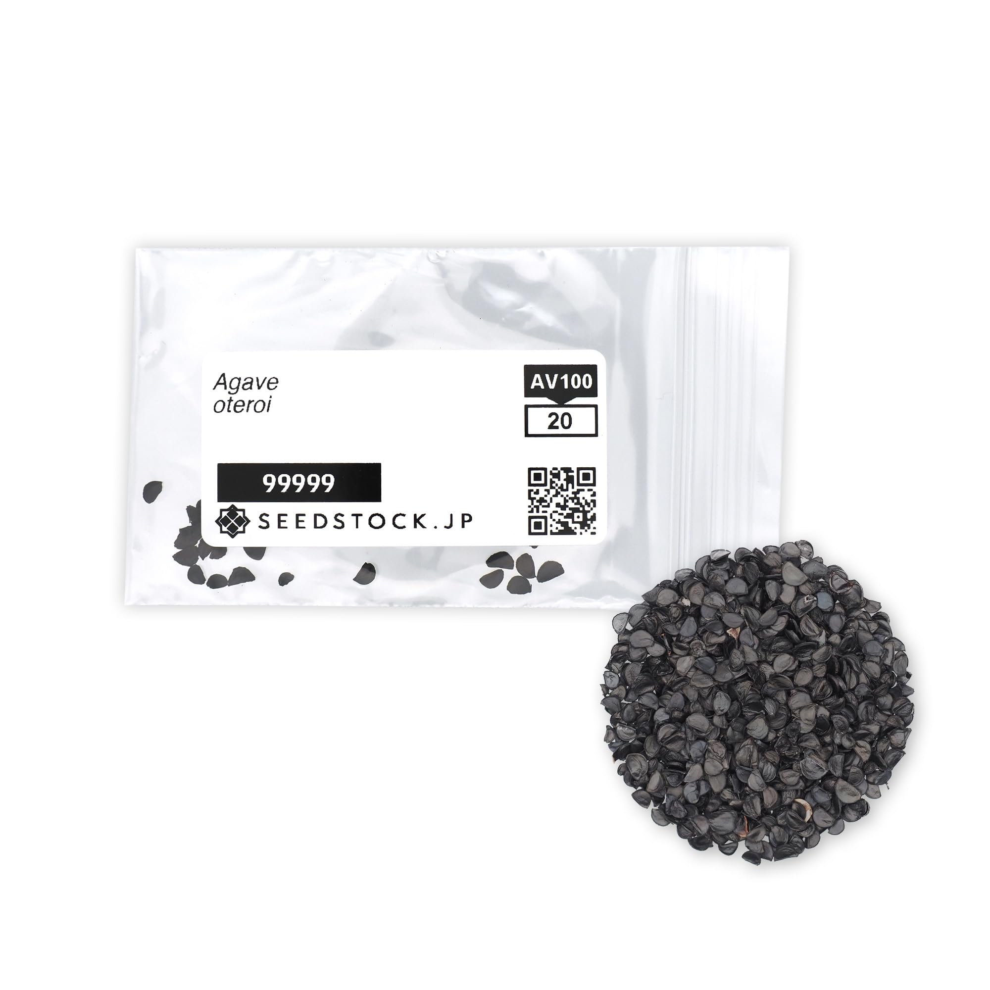 Amazon.co.jp: SEEDSTOCK アガベ オテロイ チタノタ 種子 100粒 多肉
