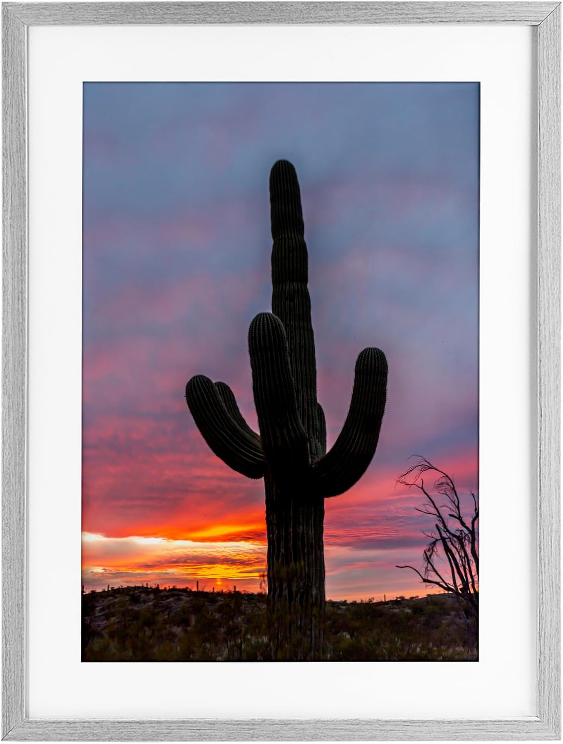 'Arizona Cactus at Sunset'| Framed Print Under Glass | Stupell Industries | Black, 14 x 20 Inches, Easy to Hang and Sturdy, Made in USA, by Jeff Poe Photography