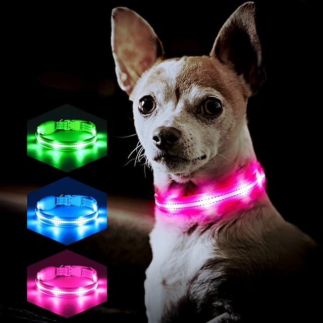 PZRLit Light Up Dog Collar Rechargeable for Small Dogs, Fully Adjustable LED Dog Collar Light Waterproof, 2 Flashing Modes Glow Dark Dog Collars for Night Walking, Reflective Puppy Dog Collar, Pink
