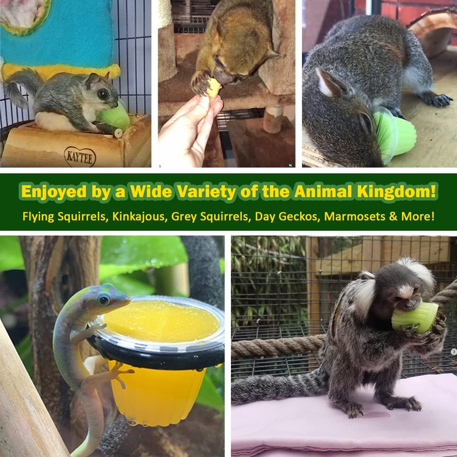 Exotic Nutrition Nectar Pod Variety 4 Pack | Calcium-Fortified Jelly Fruit Treat | for Sugar Gliders, Marmosets, Squirrels, Parrots, Cockatiels, Geckos & Other Small Pets