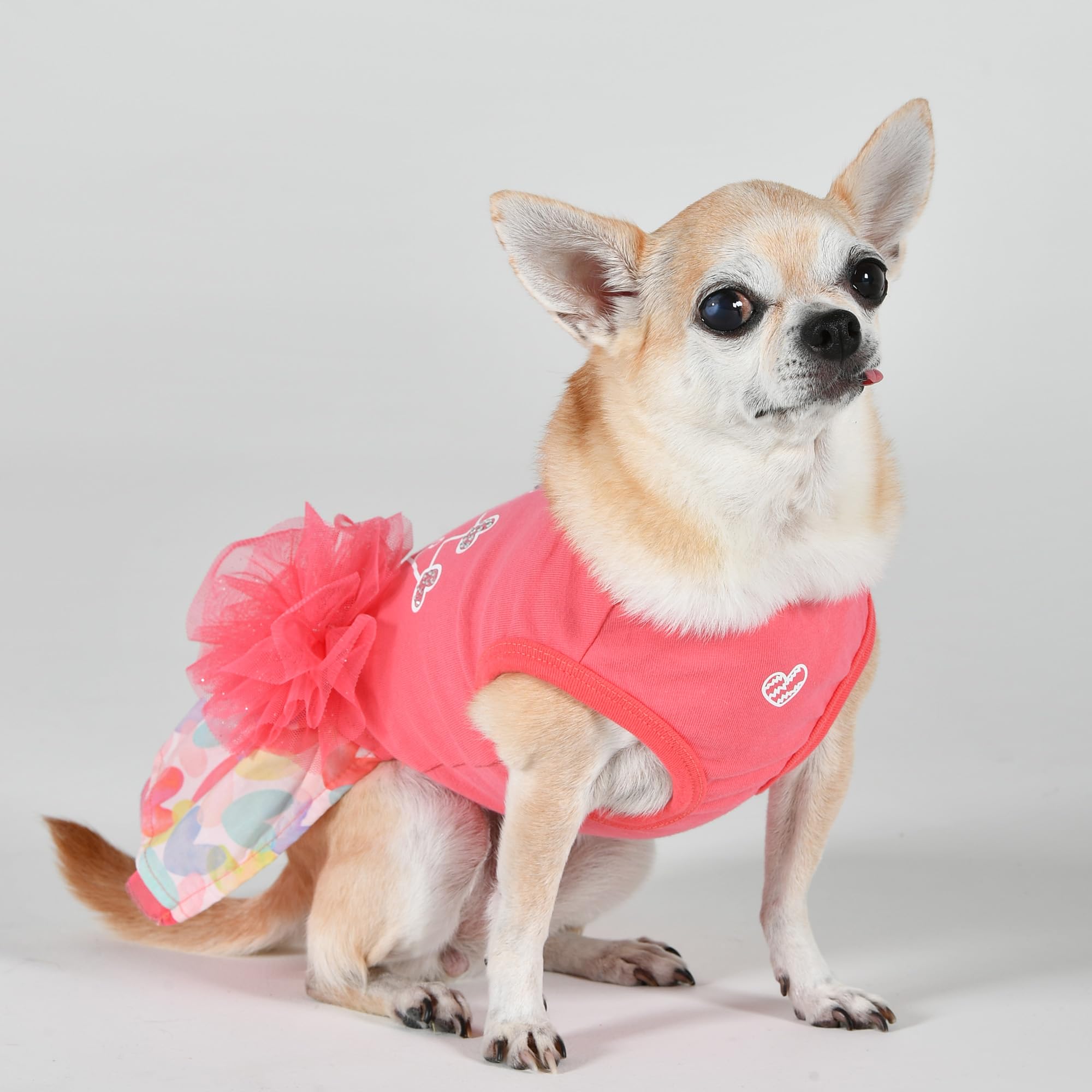 Robe pour chien vêtement mode printemps été Pinkaholic