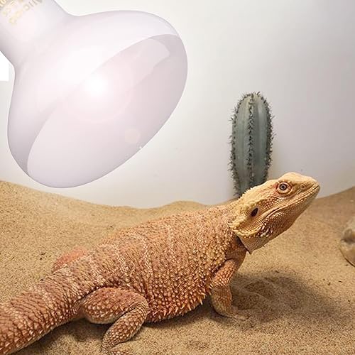 Miniatura 5 de Aiicioo Bombilla de luz para reptiles Lámpara de calor de reptiles de 150 W, paquete de 2 anfibios de luz diurna UVA para bombilla de sol para