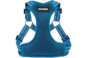 Breezy Voyager No-Pull Dog Harness with Reflective Stitching in Turquoise (Medium)