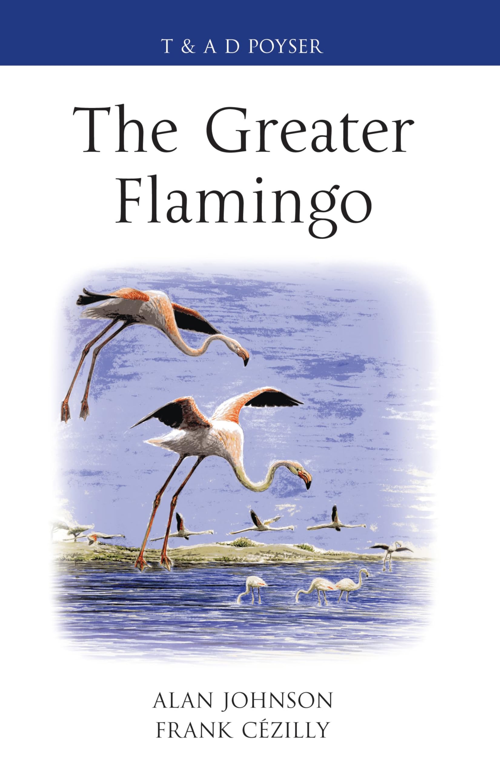Buy The Greater Flamingo — BookShops.in