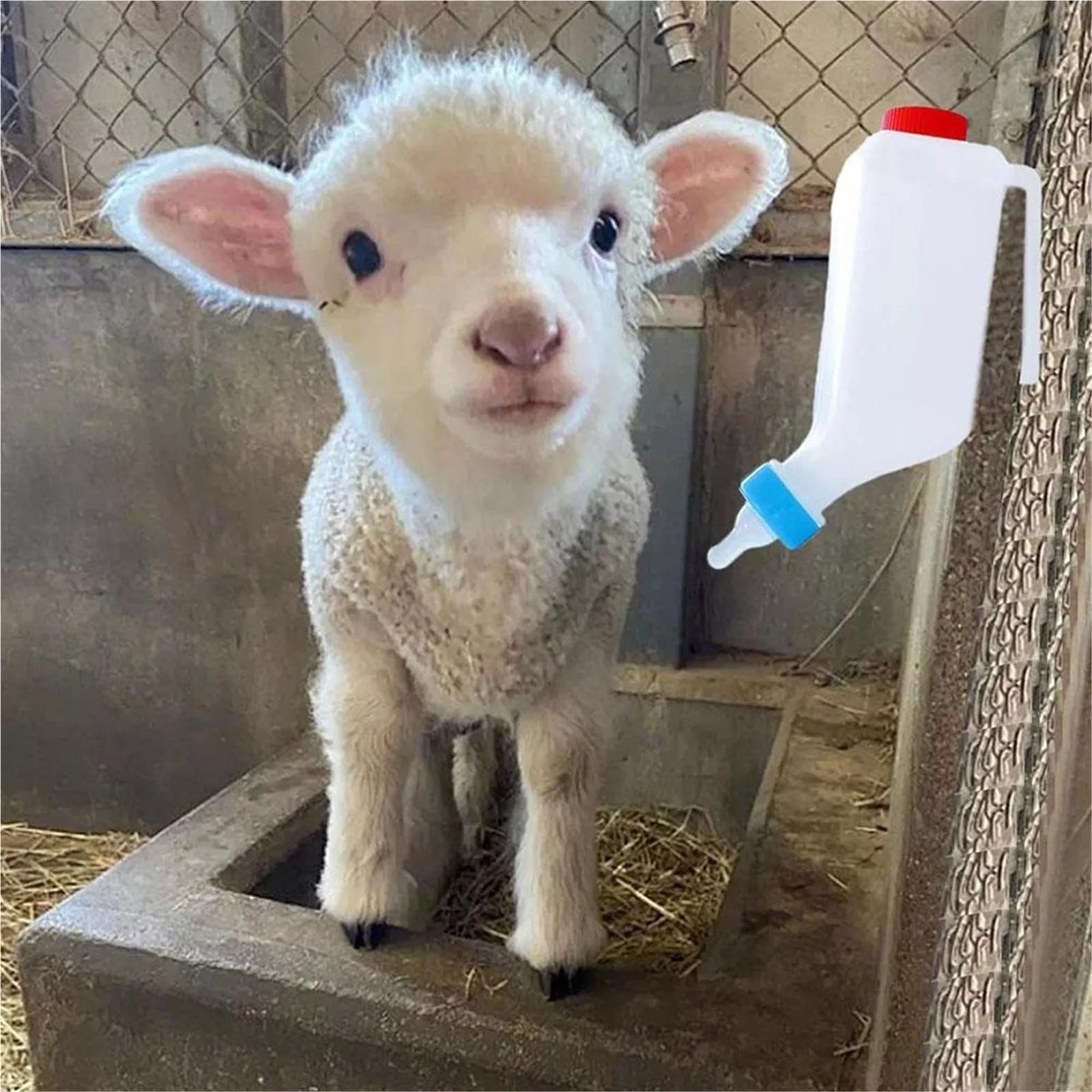Butelki do karmienia jagniąt, Jagnięcina Cielę Koza Szczeniak Napój Mleczny Butelka do karmienia Odwrócona Możliwość zawieszenia Biała 500 ml 800 ml(800ml)