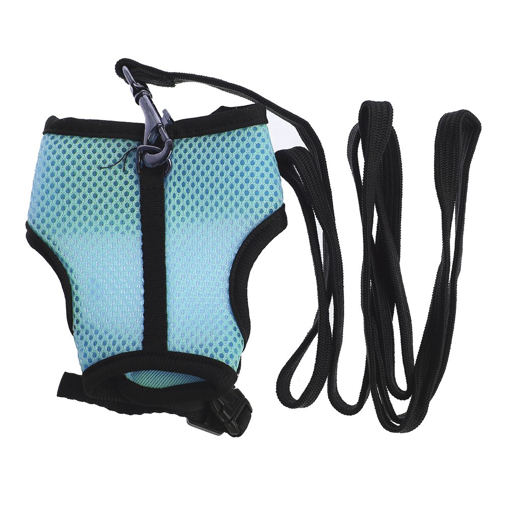 Groomy Sky Blue Lead, Hamster Rabbit Mesh Harness Lead, Ferret, Guinea Pigs, Small Animal, Pet Walk, Lead Blue, Small