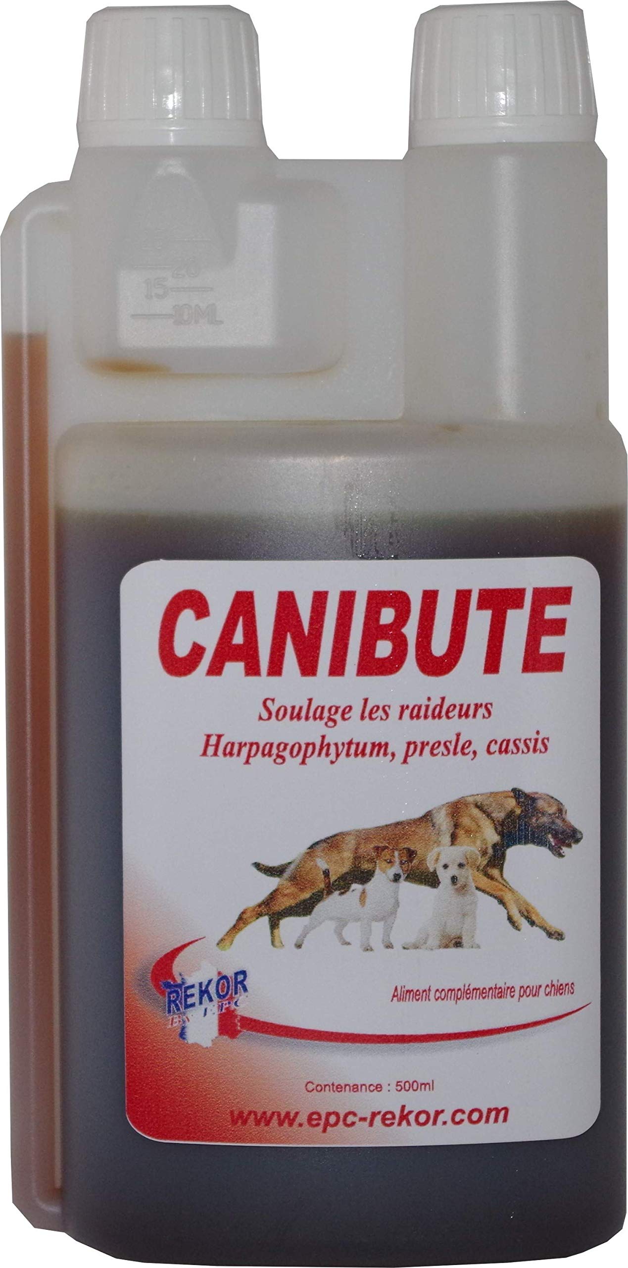 Chien raide au lever ? Réglé avec Rekor Canibute 1 L articulaires