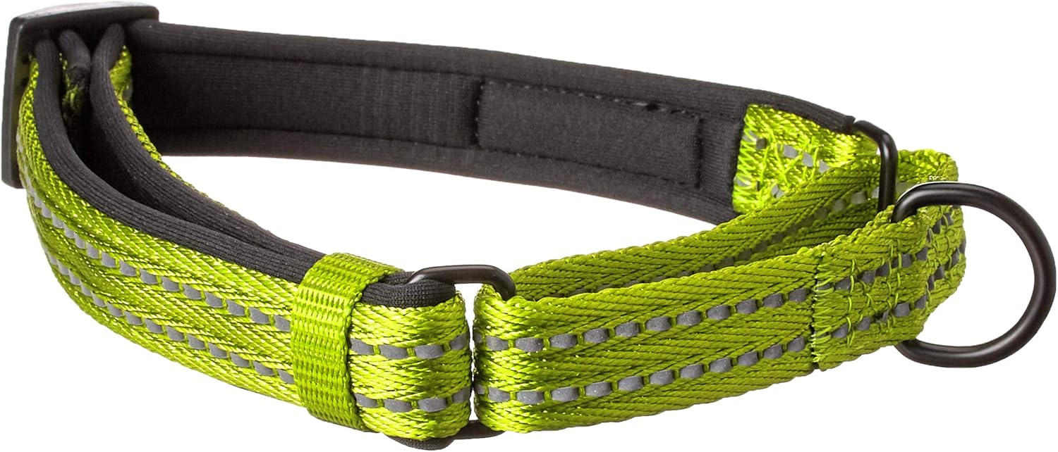 alcott Martingale Collar with Reflective Stitching & Neoprene Padding, Medium, Green