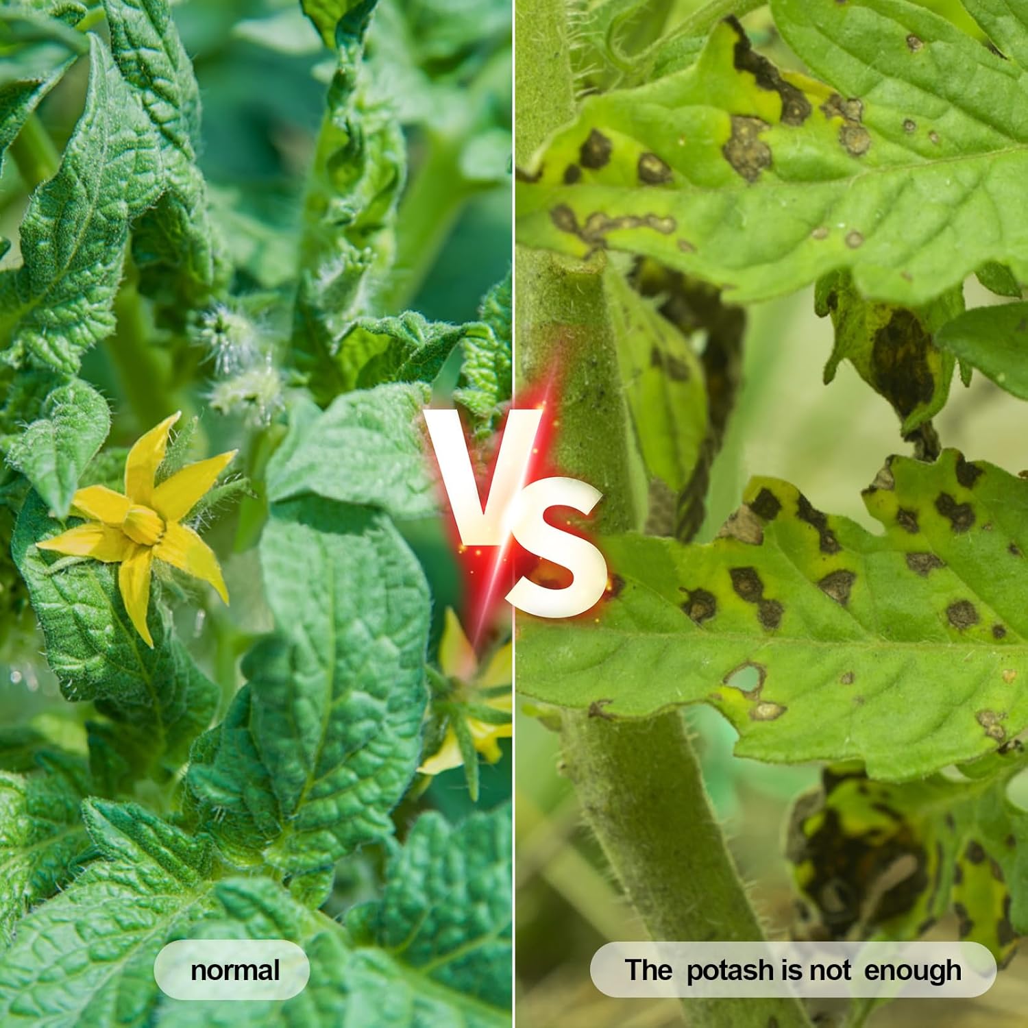 4 in 1 Npk Soil Tester Digital LCD Diaplay 3X AAA Battery Power Measure The Soil NPK Component Content and Temperature NPK Soil Assessment Tool