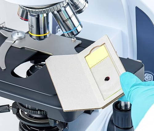 Miniatura 7 de Globe Scientific 1324Y - Diapositiva para microscopio de vidrio, tamaño 0.984 x 2.953 in, bordes de tierra con esquinas de seguridad, amarillo