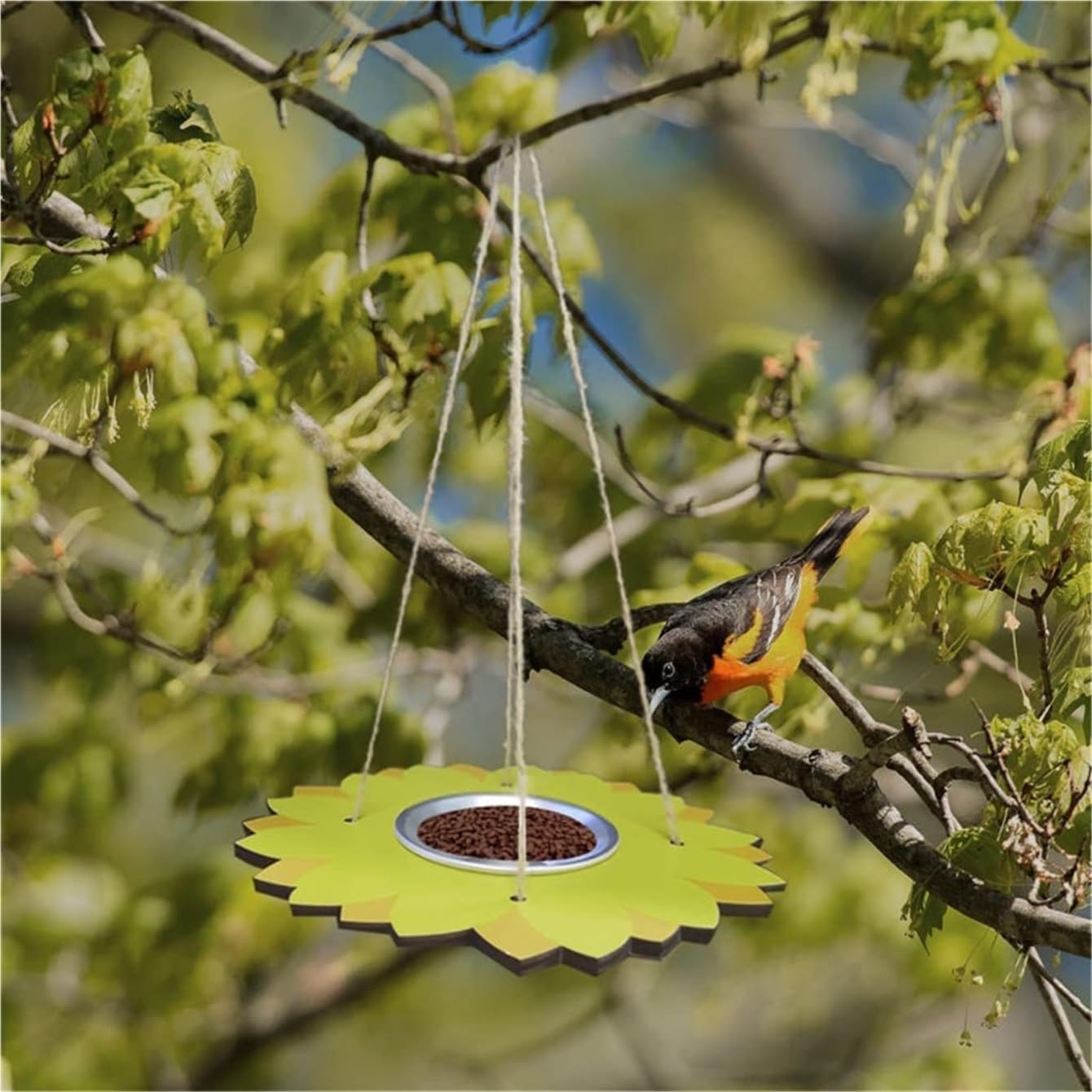 Karmnik dla Ptaków Balkon Wiszący Karmnik Dla Ptaków Taca Hummingbird Podajnik Nasion Platforma Do Jedzenia Na Świeżym Powietrzu Zewnątrz Wystrój Ogrodu Ogrodu Zewnątrz