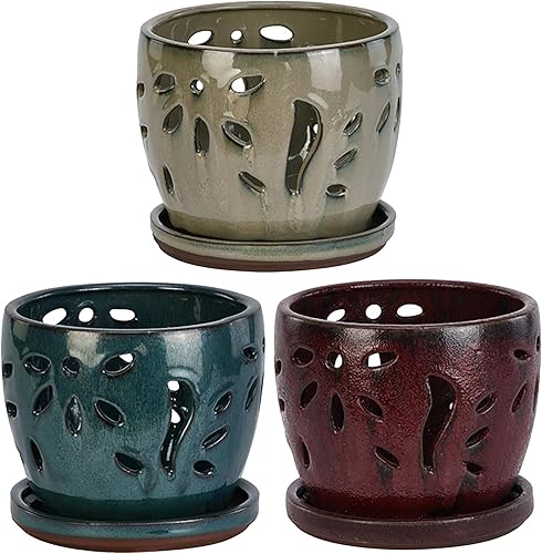 Maceta grande para orquídeas, 3 surtidos