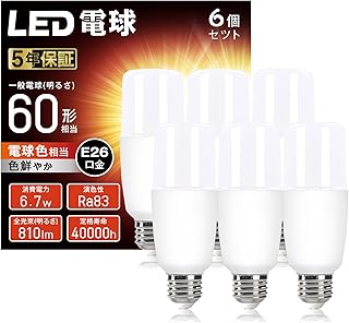 保障期間5年 LED電球 60W形相当 T形タイプ E26口金 電球色 810lm 全方向タイプ 電球型蛍光灯 EFD25・EFD15 形代替推奨 密閉器具対応 断熱材施工器具対応 PSE認証 調光不可 6個セット