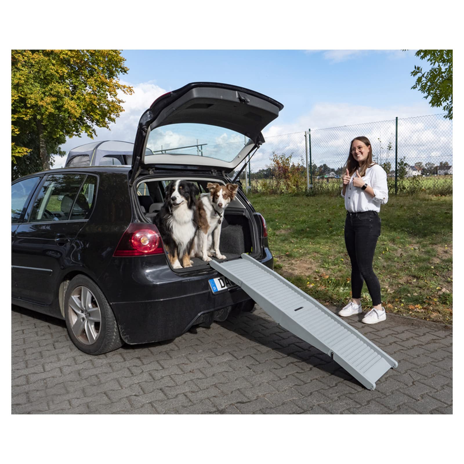 Rampa per cani Emma, portata fino a 40 kg, per auto, autobus, furgoni e campeggio