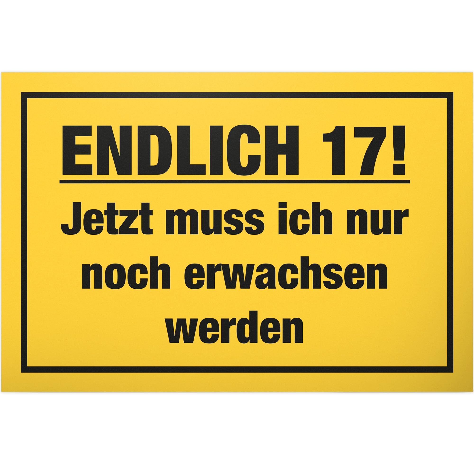 DankeDir! Endlich Siebzehn - 30 x 20 cm Schild - Jungen & Mädchen Geburtstagsgeschenk Geschenk 17. Geburtstag 17 Jahre 17er - Geburtstagskarte Partydeko Geschenkidee Geburtstagsdeko