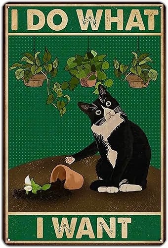 KONMPFEY Cartel de metal divertido para los amantes de los gatos póster de pared con texto en inglés I Do What I Want Art decoración de gato para