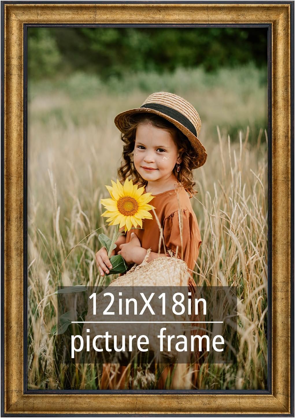 Frametory, 12x18 Picture Frame - Wall Display - Real Glass - Great for Wedding, Poster, Engagement Photographs - Antique Gold