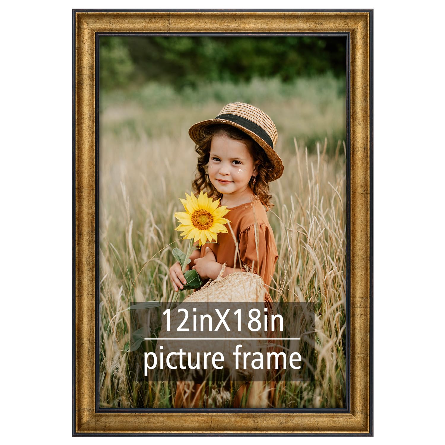 Frametory 12x18 Poster Picture Frame Real Glass Antique Gold