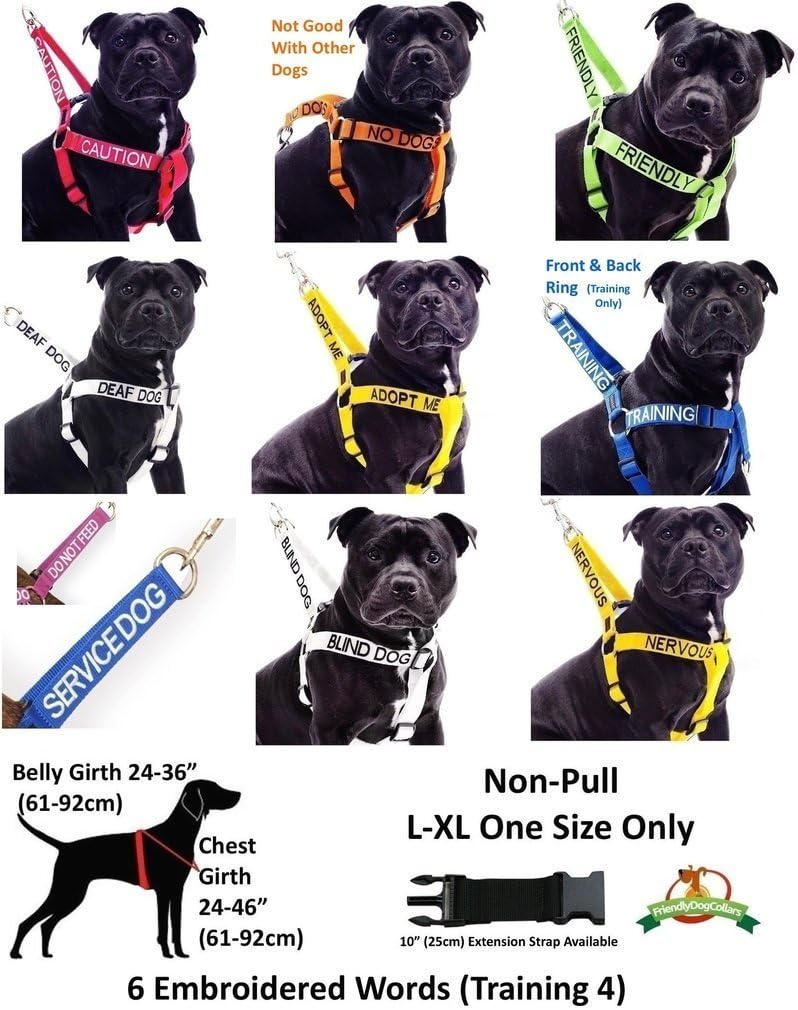 Anxious dog leash Clearance