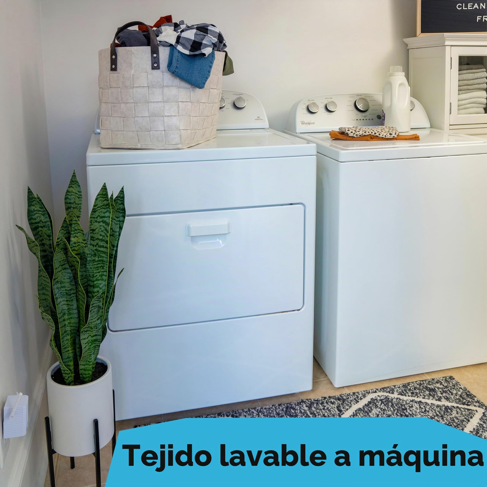 Baby Einstein, Gimnasio de Peluche con Barra de Madera, para bebés y niños pequeños, 0-12 Meses, Lavable a máquina