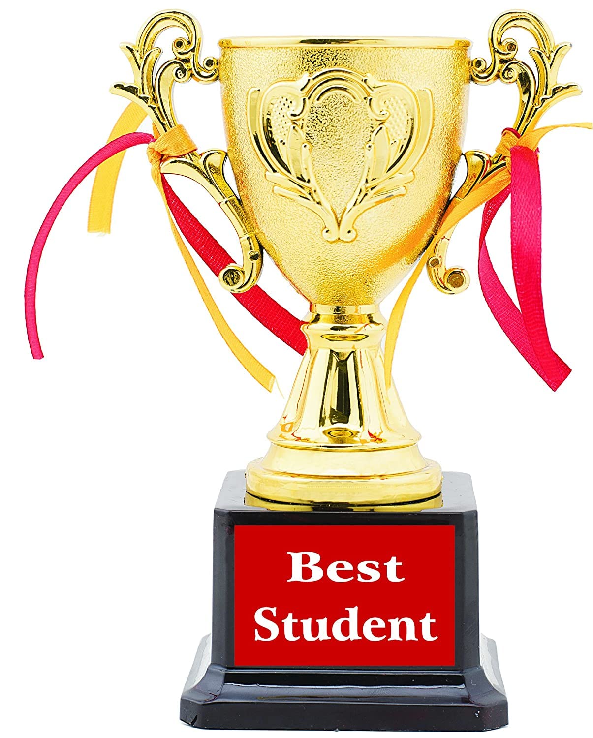 Trophy Gift for Best Student Trophy Student Birthday Trophy (6.5-Inch)