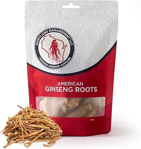 Dairyland American Ginseng Roots Prongs – Paquete de 4 onzas de raíz de ginseng Wisconsin – sin OMG, ginseng entero sin gluten – Utiliza este