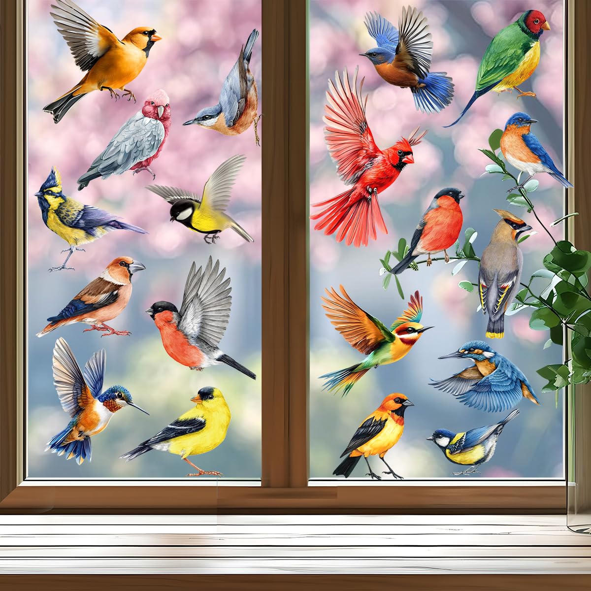 Autocollants pour fenêtres, Protection des oiseaux, Stickers oiseaux, Autocollants statiques anti-collision, Décorations de fenêtre adhésives pour vitres