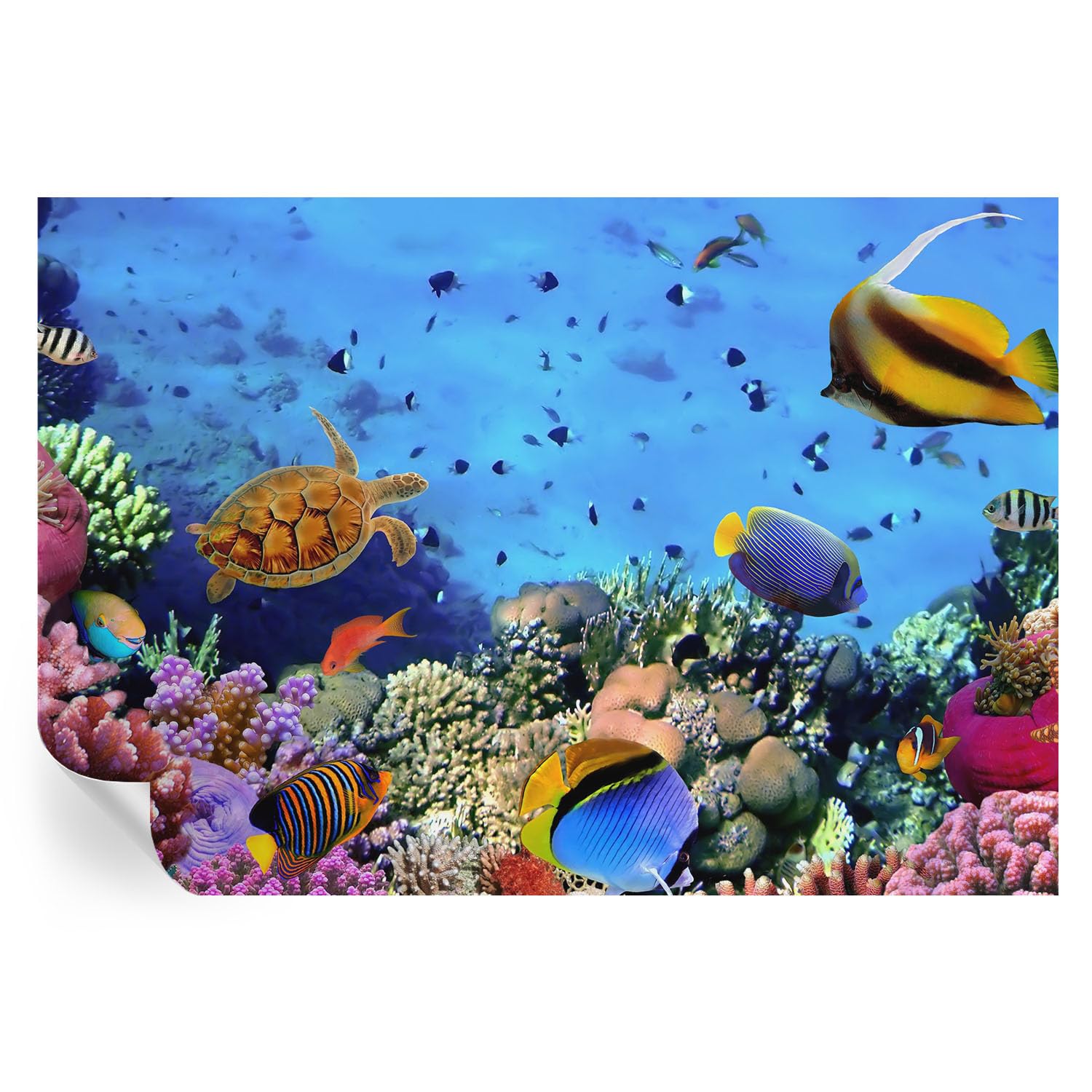 Vinilos de arrecife de coral 152x104 cm para dar vida y color al salón de tu hogar