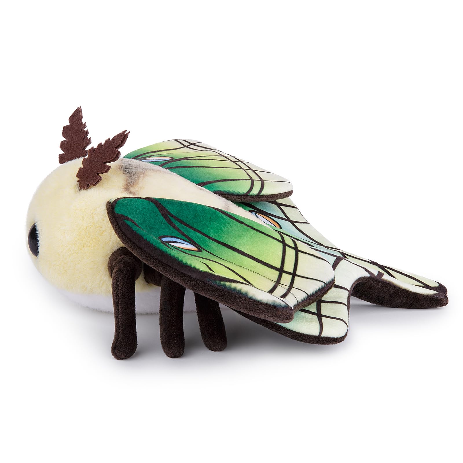 lilizzhoumax Cute Green leaf moth Plush Toy 10.62inch Soft Realistic Green leaf moth Stuffed Animal for Kids Insect lovers Boys and Girls Gifts Home Decoration green — view 4