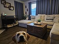 Review Image by AmazonUser91 AmazonUser91