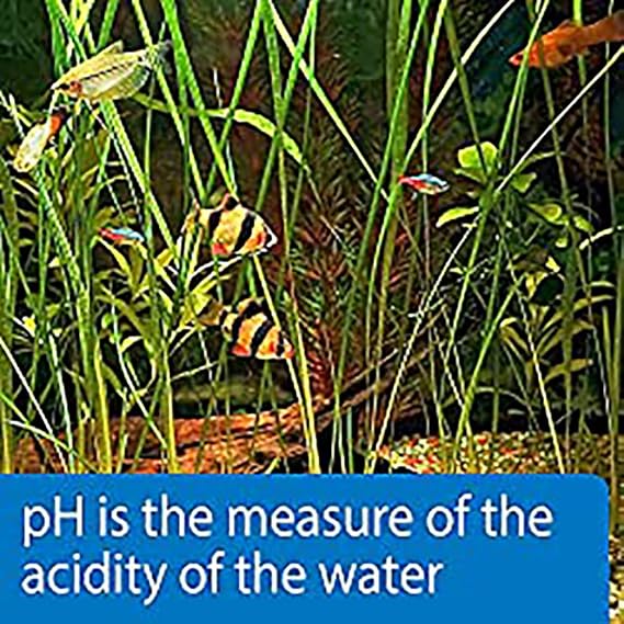 API pH Test Strips Freshwater and Saltwater Aquarium Water test strips 25-Count Box