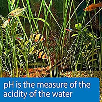 API pH Test Strips Freshwater and Saltwater Aquarium Water test strips 25-Count Box